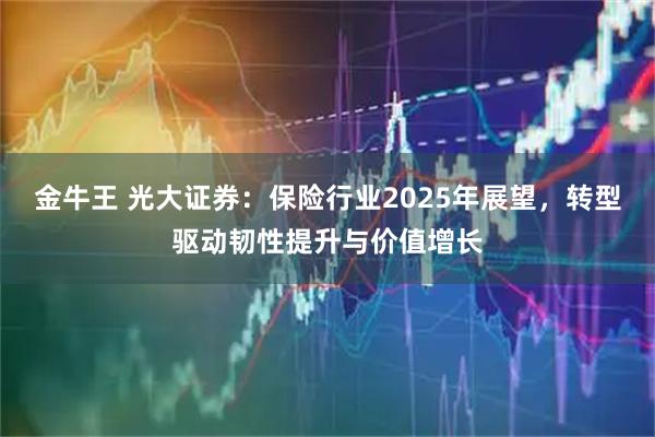 金牛王 光大证券：保险行业2025年展望，转型驱动韧性提升与价值增长