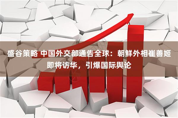 盛谷策略 中国外交部通告全球：朝鲜外相崔善姬即将访华，引爆国际舆论