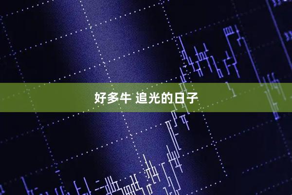 好多牛 追光的日子