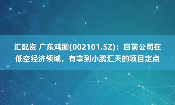 汇配资 广东鸿图(002101.SZ)：目前公司在低空经济领域，有拿到小鹏汇天的项目定点