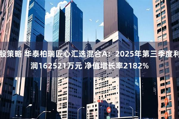 股策略 华泰柏瑞匠心汇选混合A:2025年第三季度利润162521万元 净值增长率2182%