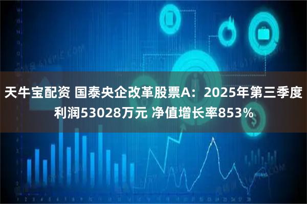 天牛宝配资 国泰央企改革股票A：2025年第三季度利润53028万元 净值增长率853%